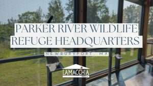 Lparker river wildlife NBPT blog