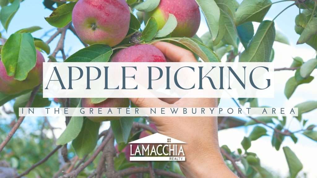 NBPT Blog apple picking canva
